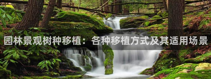 摩根娱乐怎么样