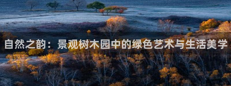 白宫摩根会娱乐有限公司