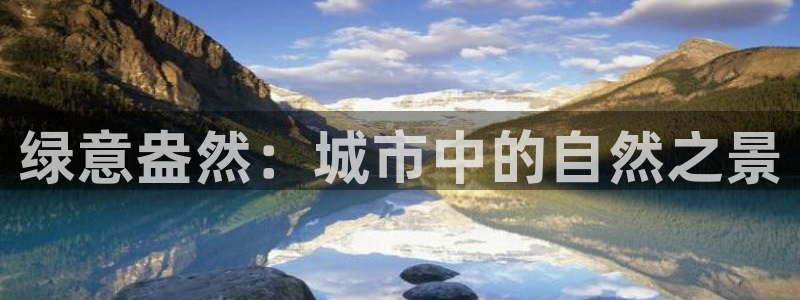 摩根娱乐宝创始人