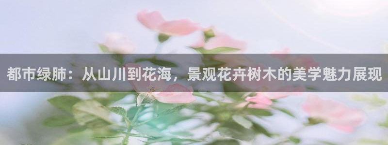 摩根娱乐 1老j板50820