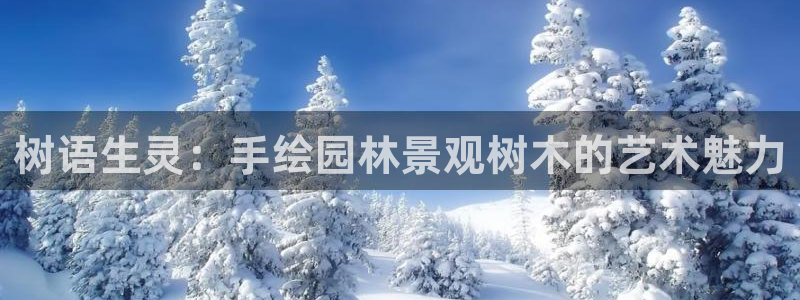 摩根娱乐平台云挂机安全吗