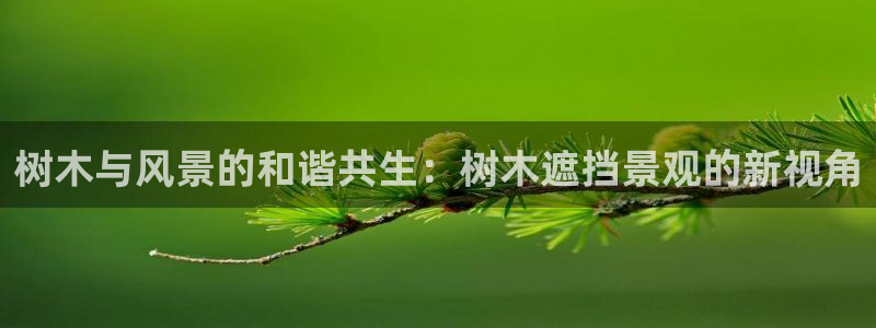 下载摩根娱乐宝