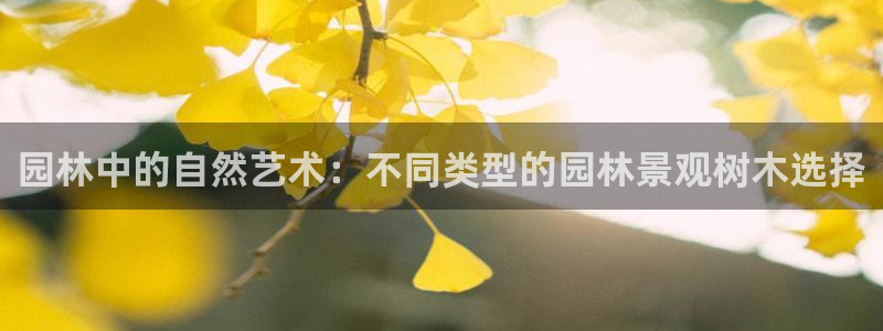 摩根娱乐宝收益怎么样