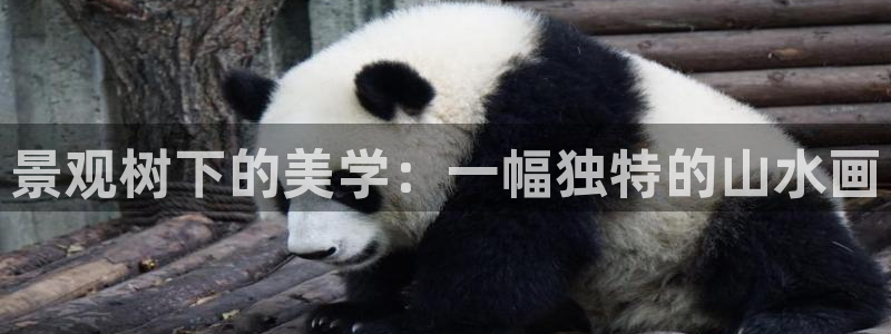 摩根娱乐宝是什么