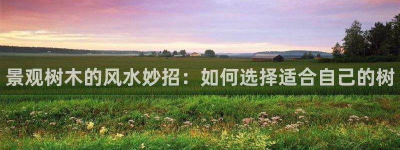 摩根娱乐宝合法吗