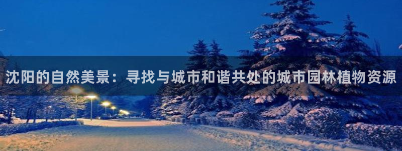 摩根娱乐宝 怎么样