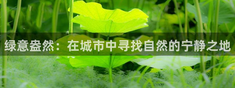 义乌摩根娱乐会所地址