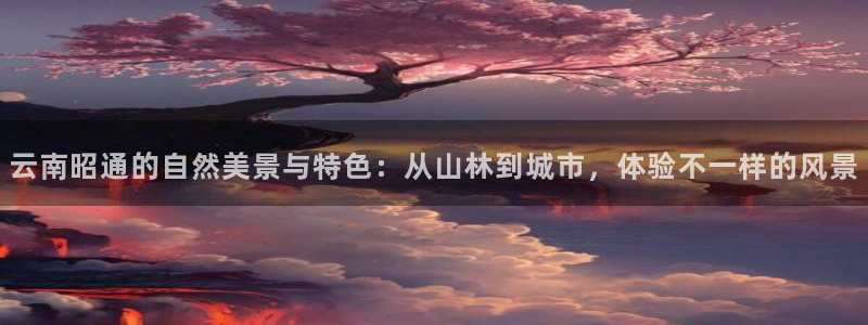 摩根娱乐宝账户