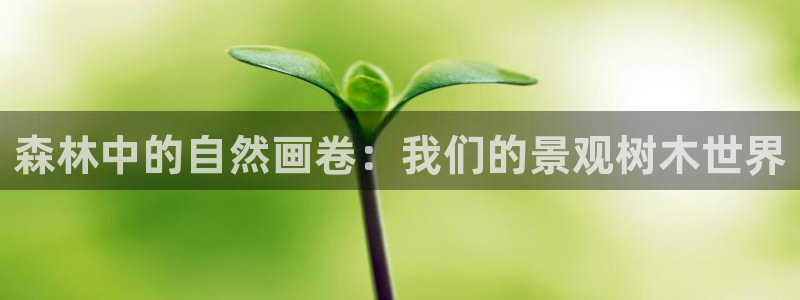 微信里面摩根娱乐宝