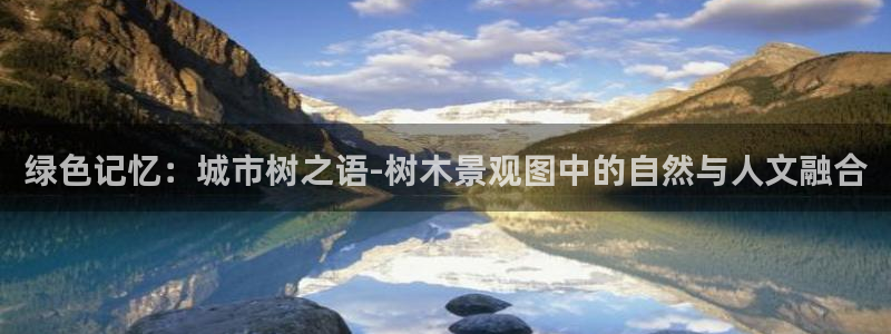 摩根在娱乐圈爆红