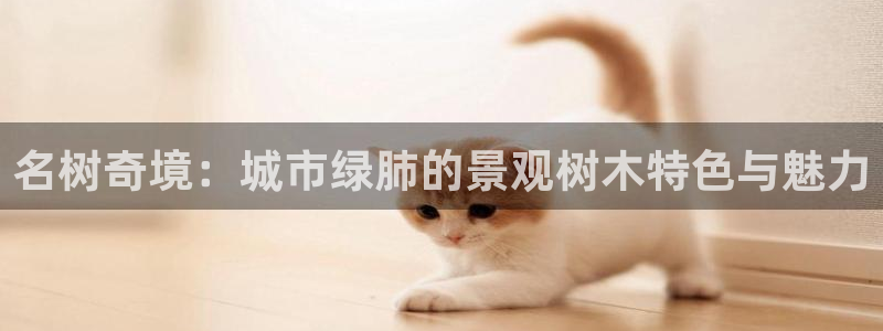 摩根娱乐L老L板50820