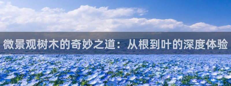 摩根娱乐宝怎么提现