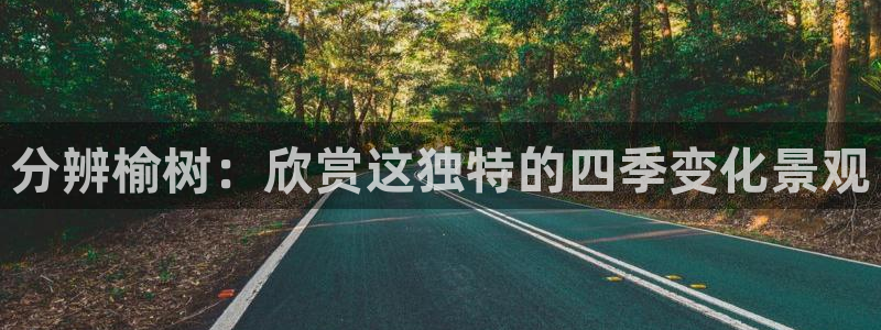 摩根娱乐身生个女孩吧