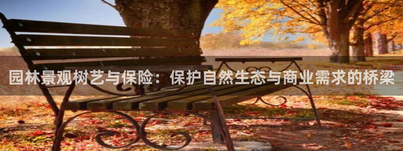 摩根国际娱乐宝书籍