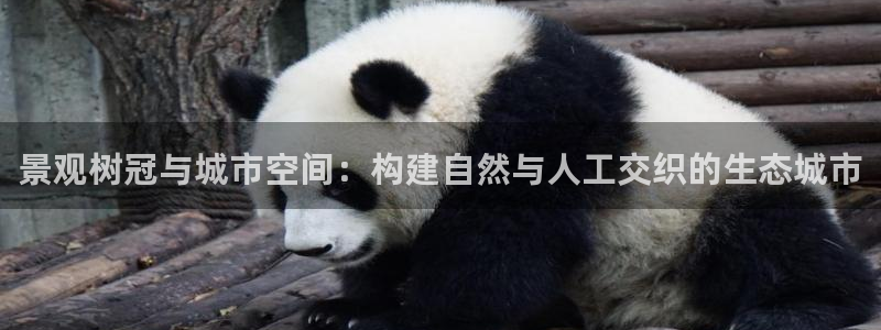 摩根娱乐会所电话