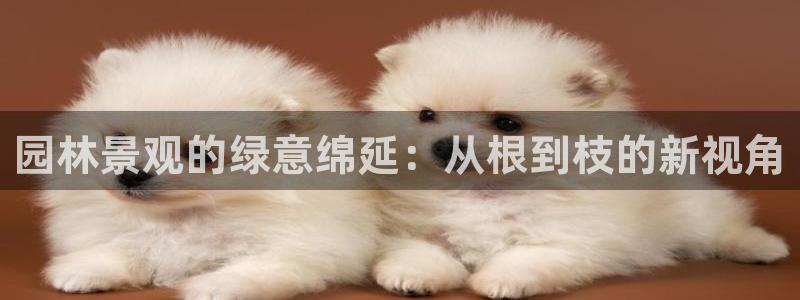 摩根娱乐宝杀单吗