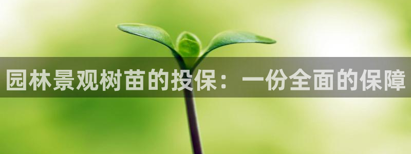 摩根娱乐50186选择