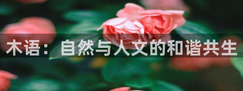 摩根大通狮门娱乐目标价