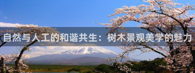 华视娱乐摩根王琛