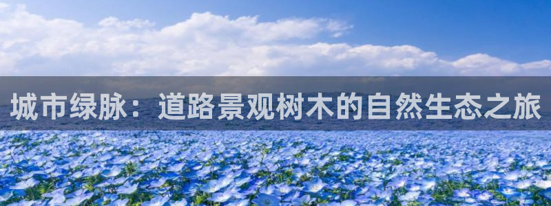 摩根娱乐宝机怎么玩