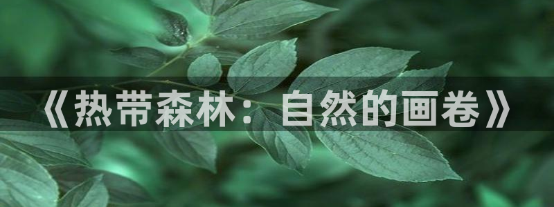 摩根大通旗下娱乐公司