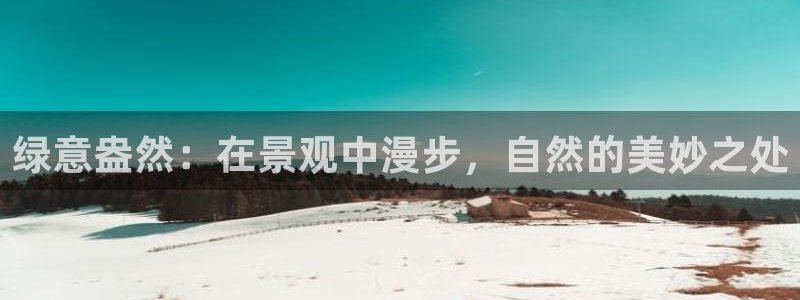 摩根娱乐和摩根国际