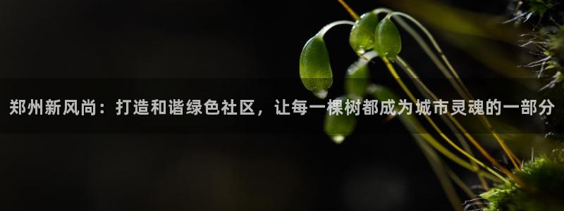 摩根国际娱乐宝官网下载：郑州新风尚：打造和谐绿色社区，让每一棵树都成为城市灵魂的一部分