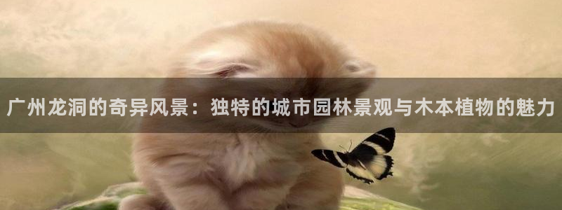 摩根娱乐云挂机项目