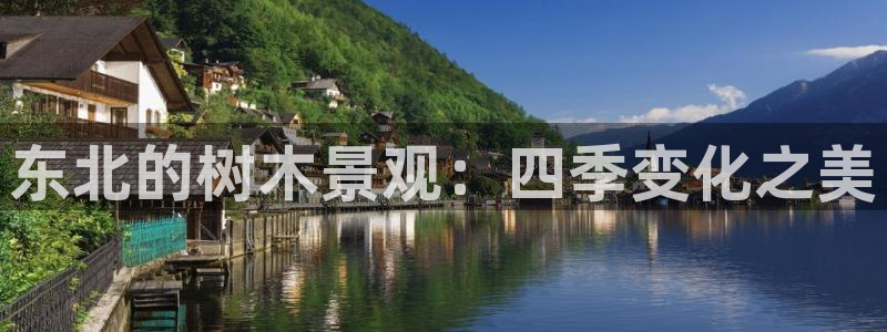 摩根娱乐宝登陆网址：东北的树木景观：四季变化之美