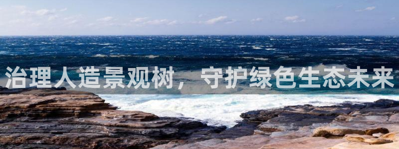 摩根娱乐开户总s管50015 15