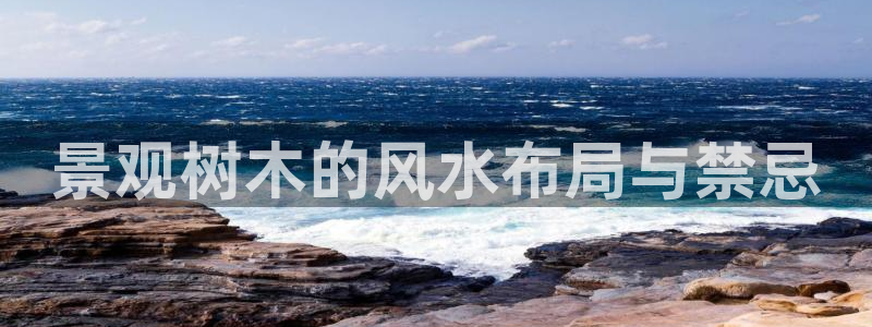 摩根娱乐50186联系