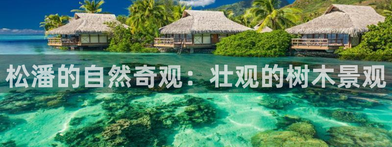 泉州摩根娱乐会所电话号码