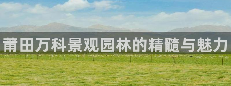 摩根娱乐宝平台