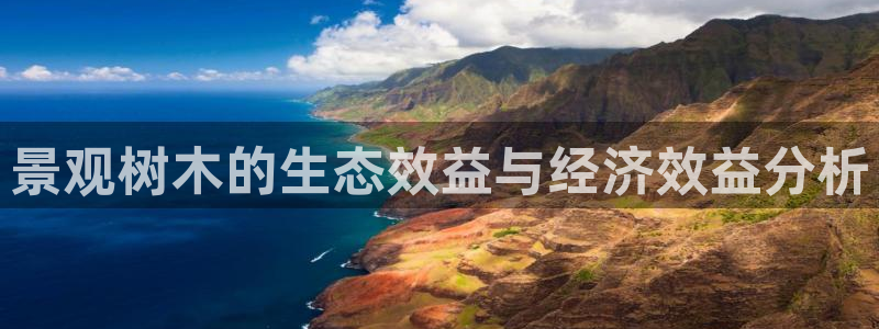 猫眼娱乐摩根士丹利