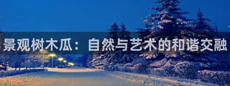 泉州摩根娱乐会所怎么样