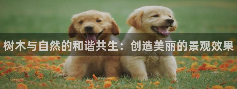 义乌摩根娱乐会所怎么样