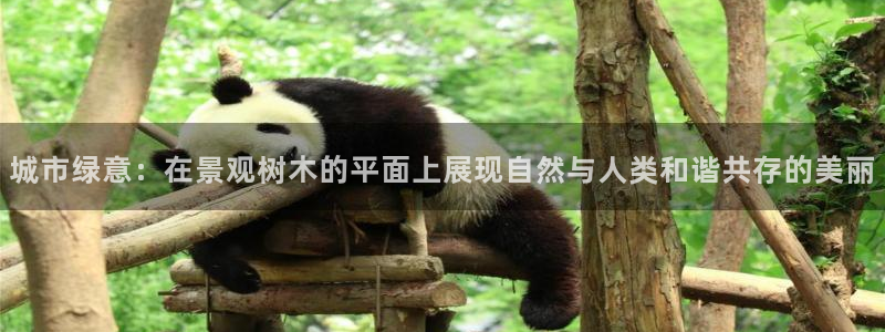 摩根娱乐包是什么意思