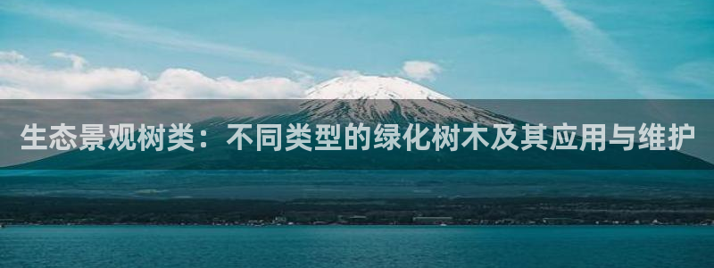 泉州摩根会娱乐有限公司