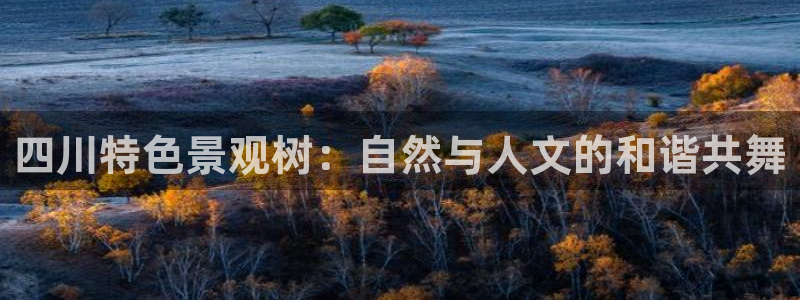 摩根在娱乐圈爆红