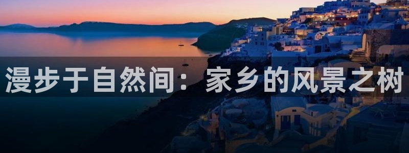 猫眼娱乐摩根士丹利