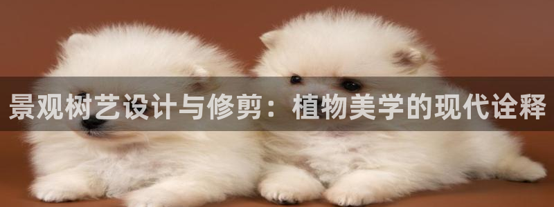 摩根国际 亚太 娱乐宝