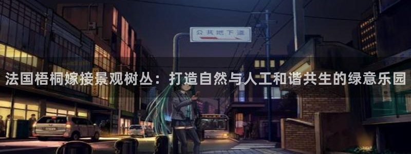 摩根娱乐挂机项目有哪些