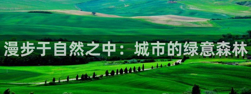 摩根娱乐总部在哪里