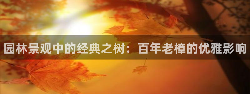 摩根国际娱乐宝下载