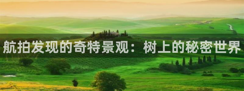 摩根娱乐彩票挂机