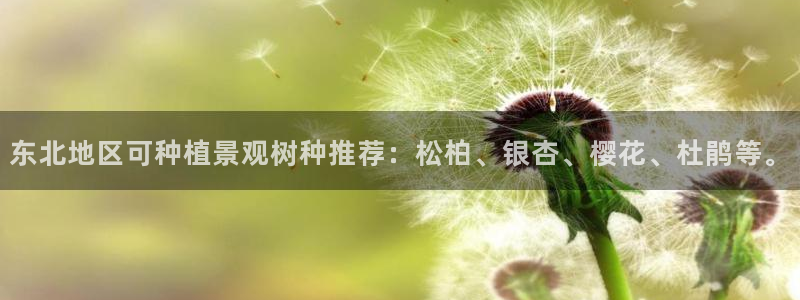 摩根娱乐宝真的假的