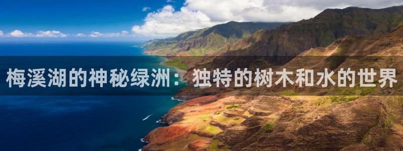 摩根娱乐视频大全