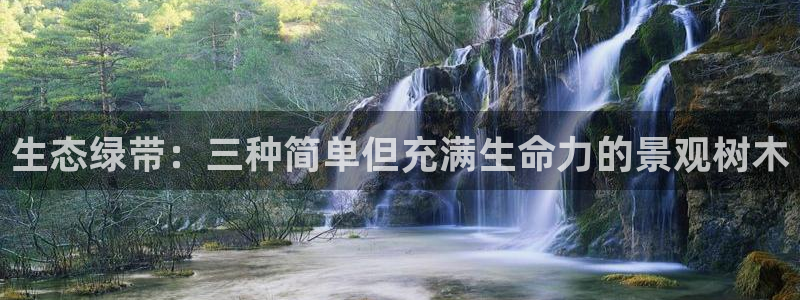 摩根娱乐宝招商