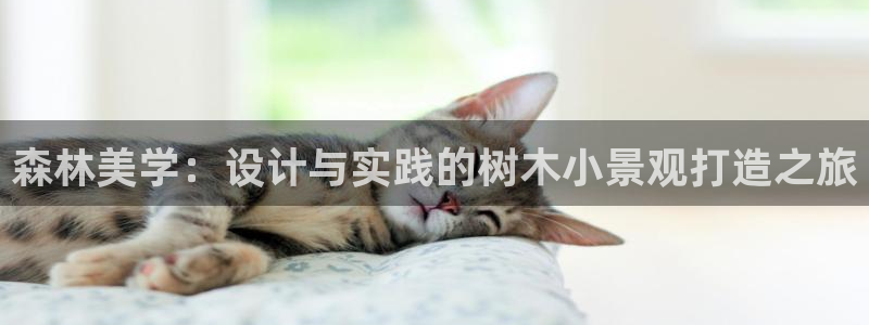 泉州摩根会娱乐有限公司