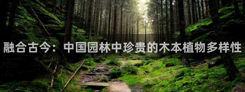 泉州摩根会娱乐有限责任公司管理